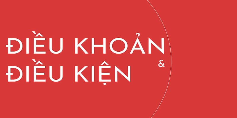 Quyền lợi, nghĩa vụ của cả 2 trong điều khoản điều kiện